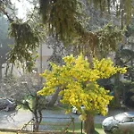 Casa Delfino Appartamento *