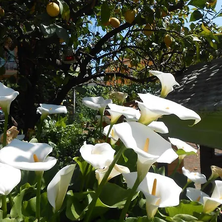 Casa Delfino Apartment Diano Marina