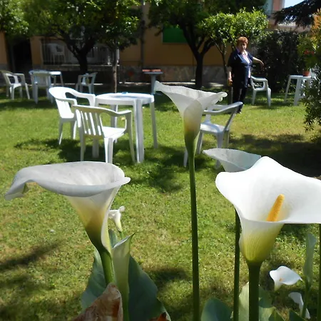 Hotel Casa Delfino *