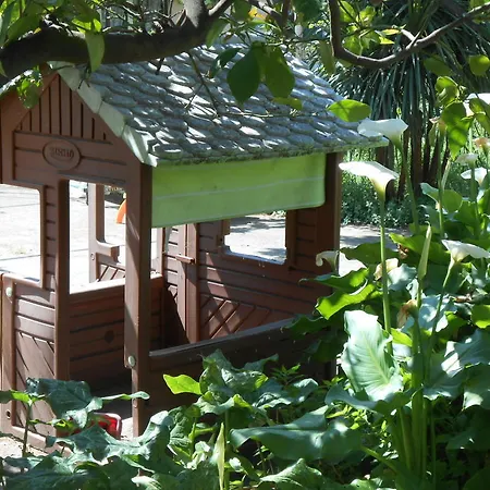 Casa Delfino *