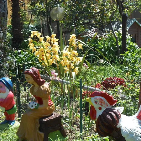 Casa Delfino شقة *