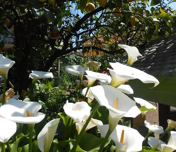 Casa Delfino Appartement Diano Marina